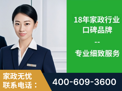 朝阳-企业展示图